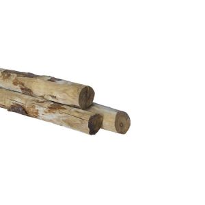 Kastanje - ø100-120 x 3000 mm - geschild - gepunt